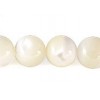 8mm Mother of Pearl round beads string