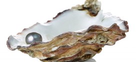 What are the Differences Between Natural and Cultured Pearls