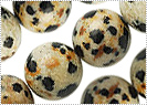 Dalmation Jasper Beads