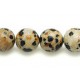 Dalmation jasper 8mm Round beads string